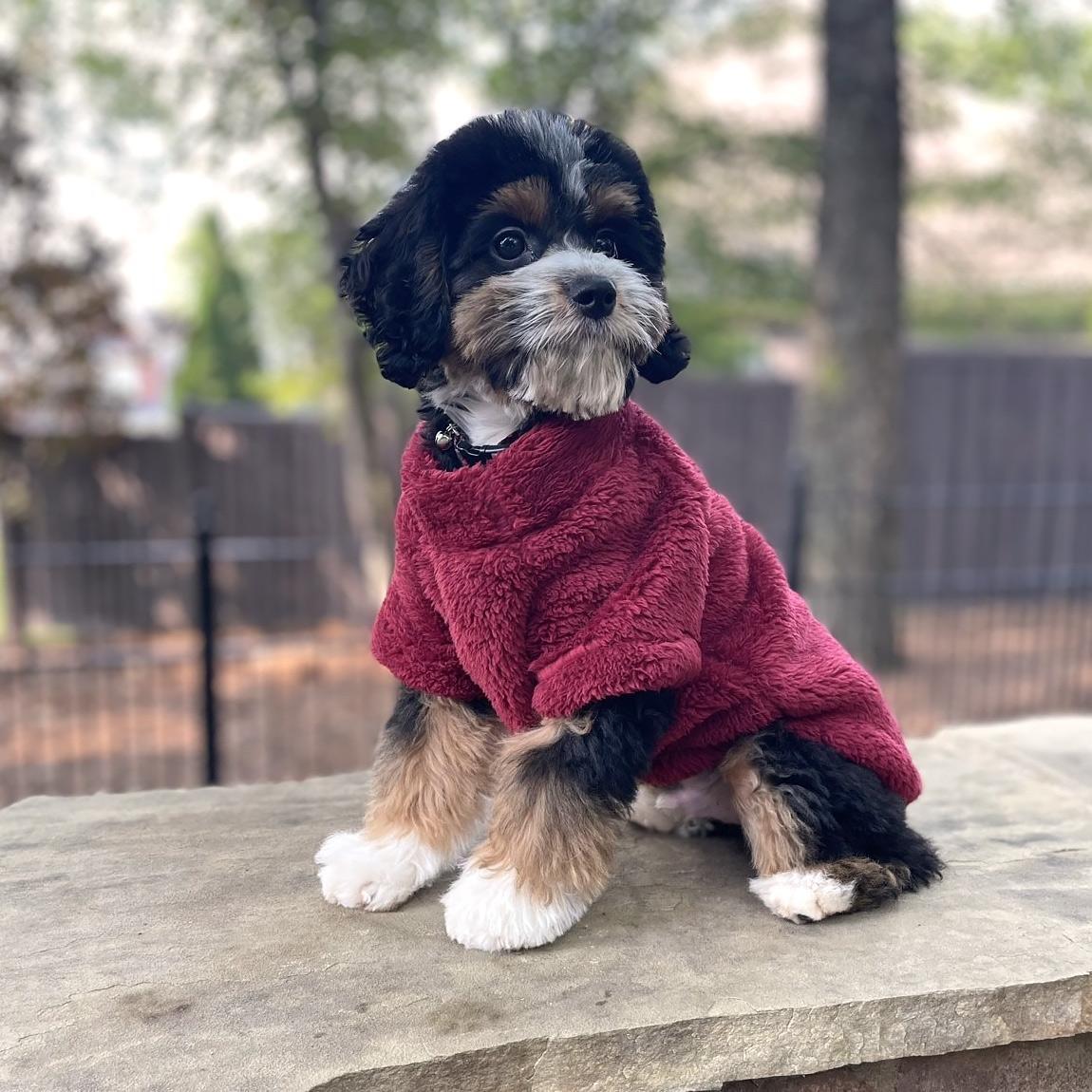 Dog Plush Pullover Jacket/Sweater- Burgundy Sizes XS – 4XL