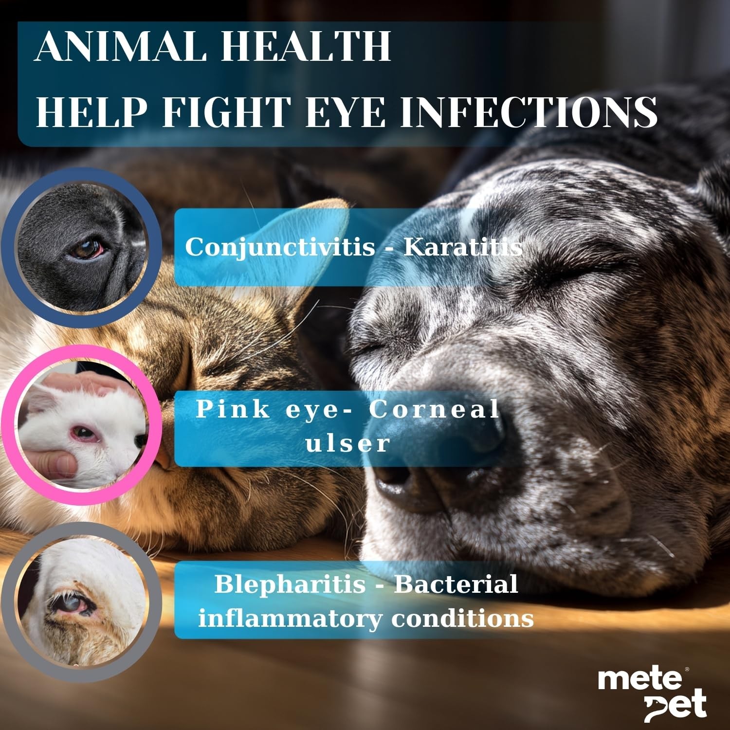 Vetromycin Pet Eye Ointment for Dogs and Cats 1/8 oz /5gr, 1 Tube – Gentle Daily