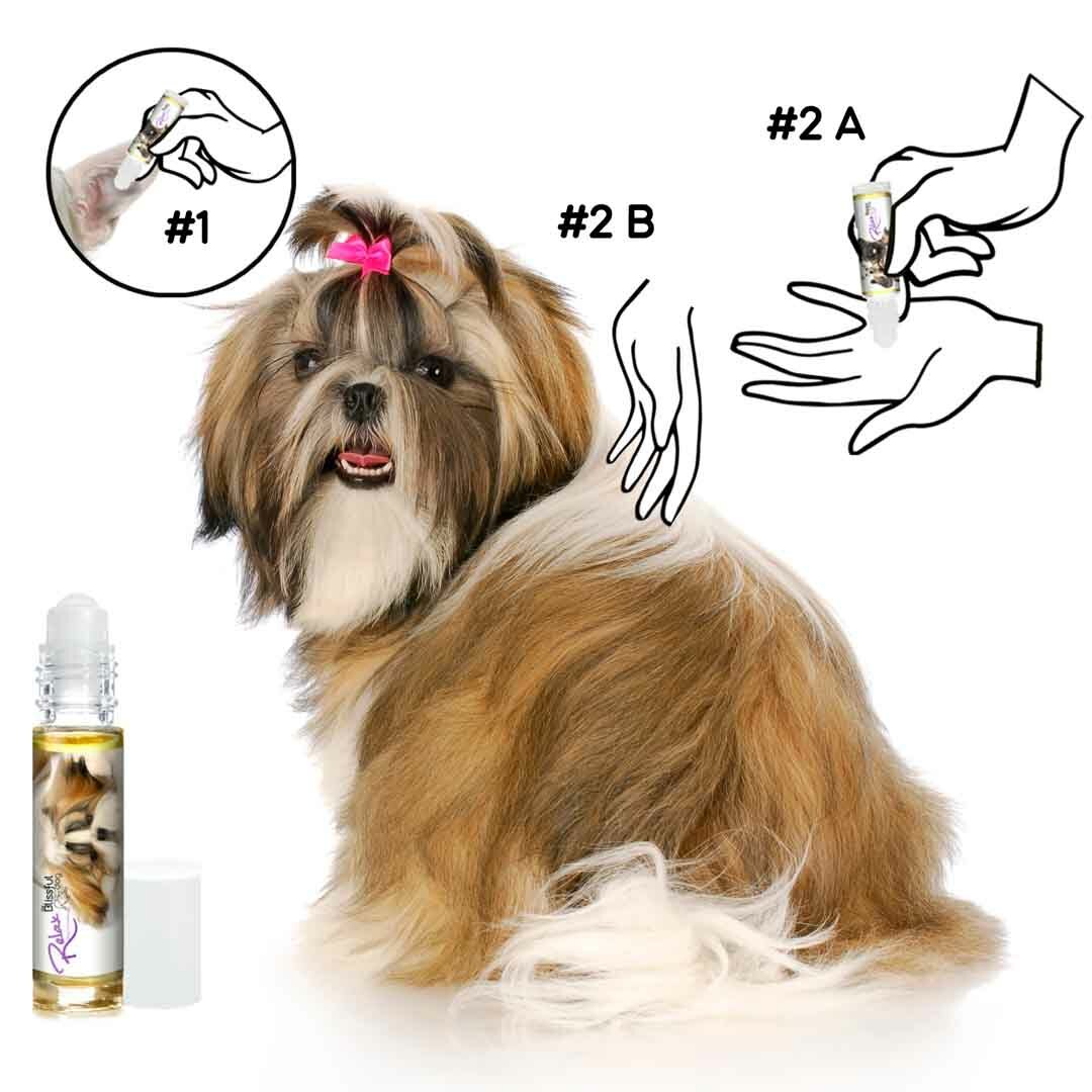 Shih Tzu Relax Dog Aromatherapy | Calms Your Anxious, Scared Shih Tzu Naturally