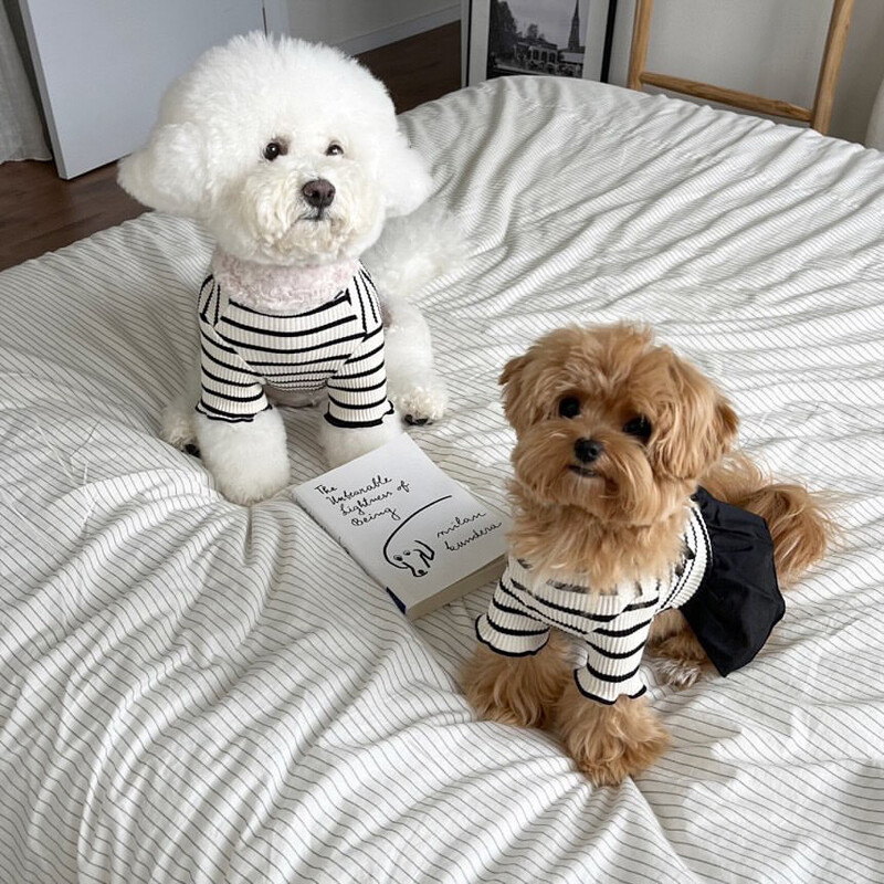 Puppy Spring Summer Short Sleeve Pet Striped Skirt Dog Fashion Clothes.