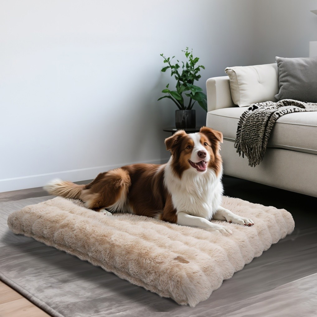 BingoPaw M L XL XXL XXXL XXXXL Dog Bed Soft Plush Anti Anxiety Pet Beds Washable