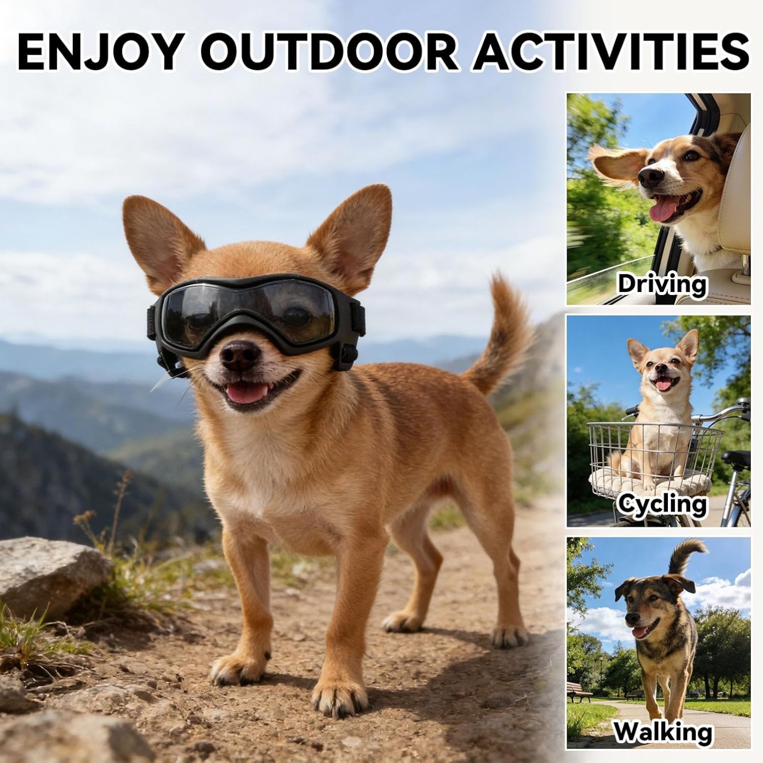 Dog Goggles Small Breeds, UV Protection Dog Glasses for Small Dogs, Adjustable