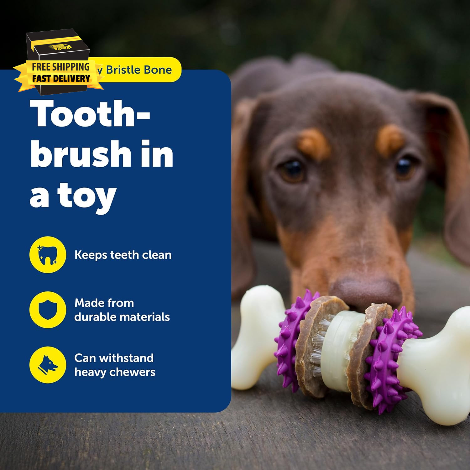 Busy Buddy Bristle Bone – Durable Dog Chew Toy with Bristles & Rubber Nubs for D