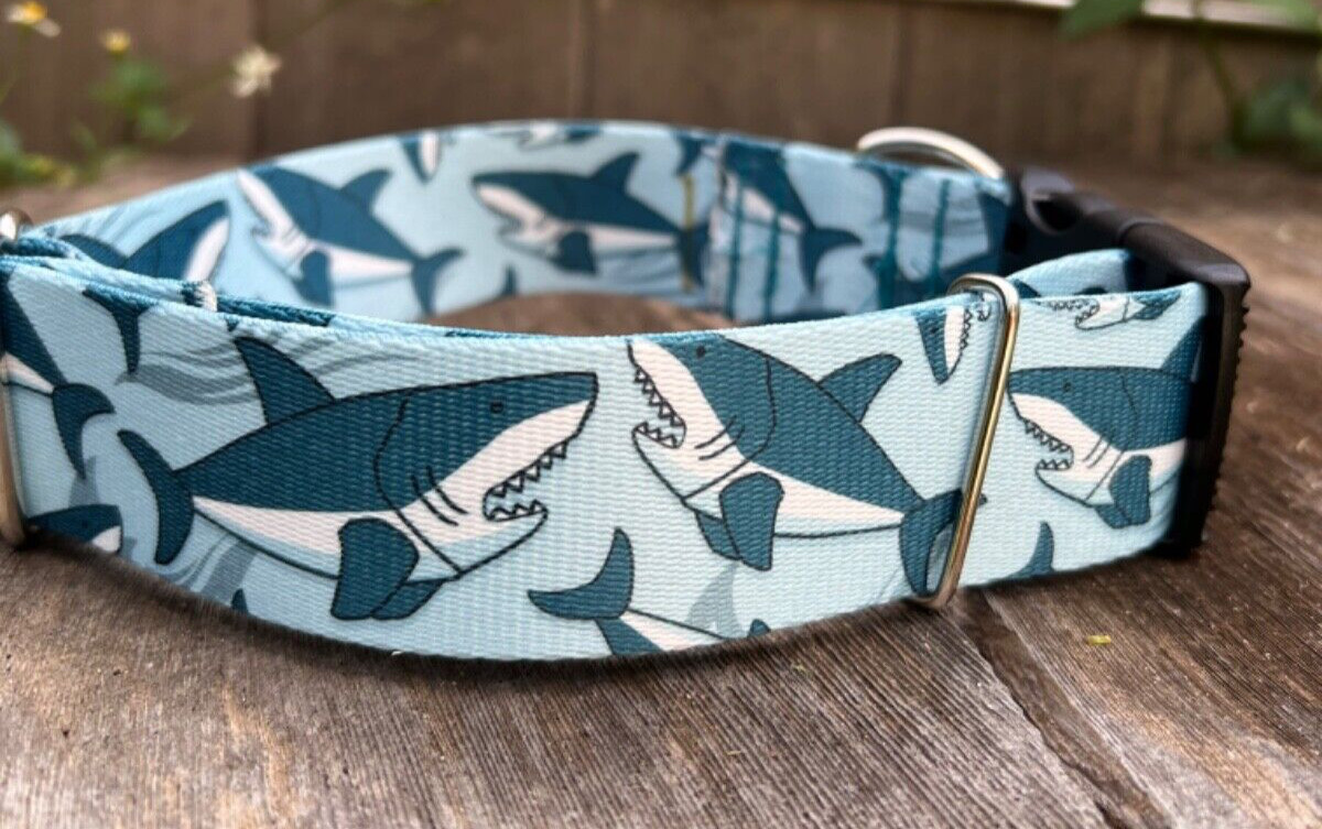 1 .5 inch Wide Sharks Beach Collar Quick Release Adjustable Handmade in the USA
