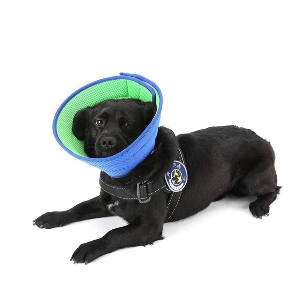 S/M/L/XL Pet Protection Collar Adjustable Soft Dog Cone Restores Collar And Cone