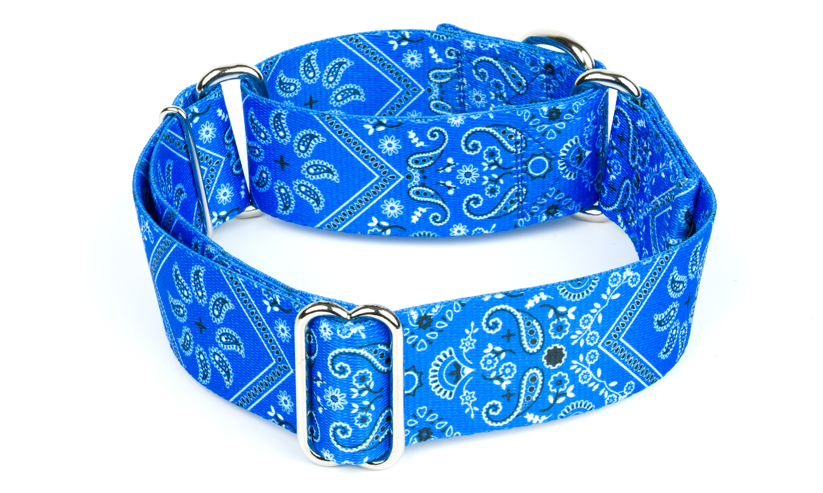 Country Brook Petz® 1 1/2 Inch Blue Bandana Martingale Dog Collar
