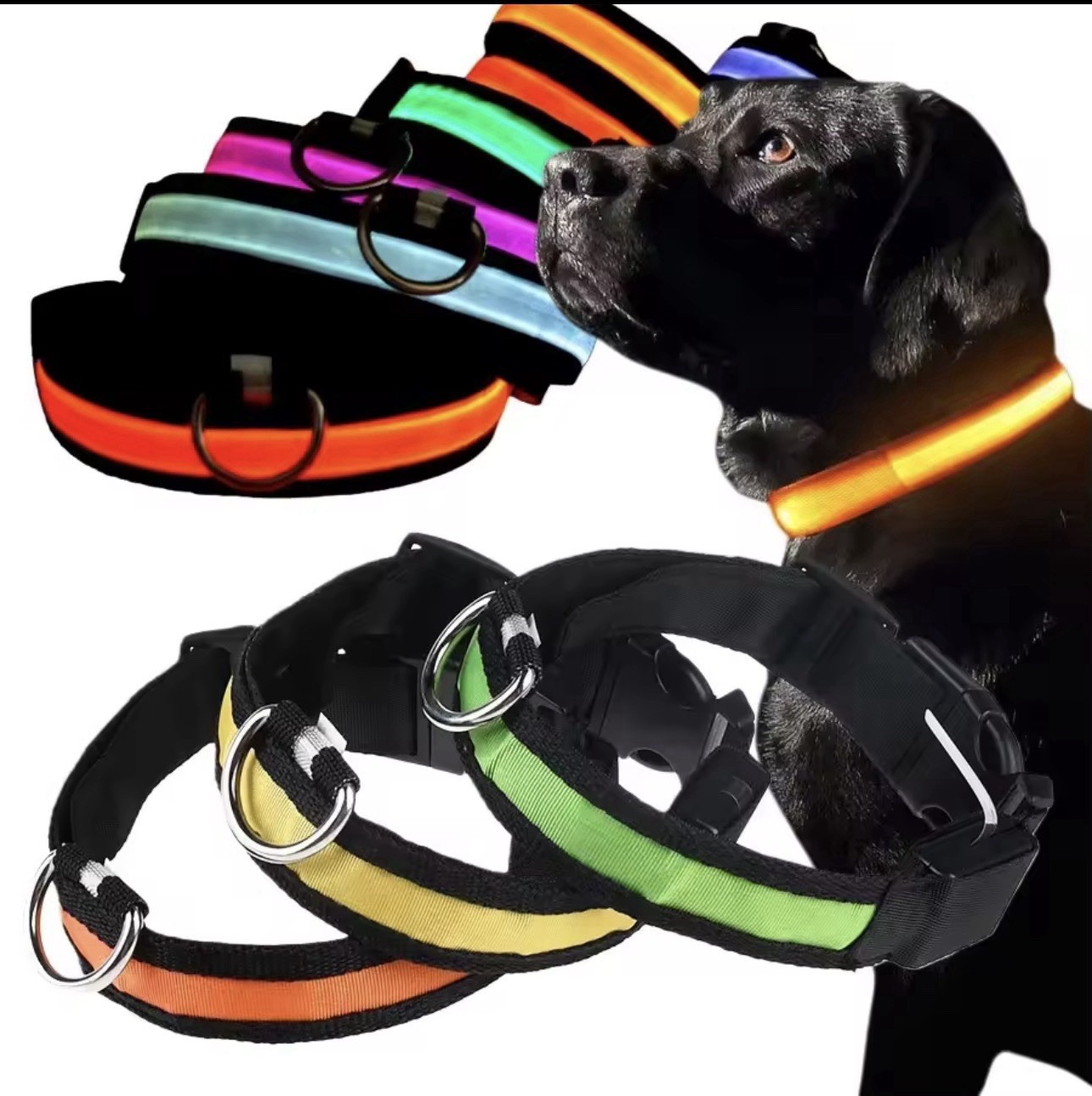 LED Dog Collar USB Rechargeable Waterproof Light Up for Night Safety