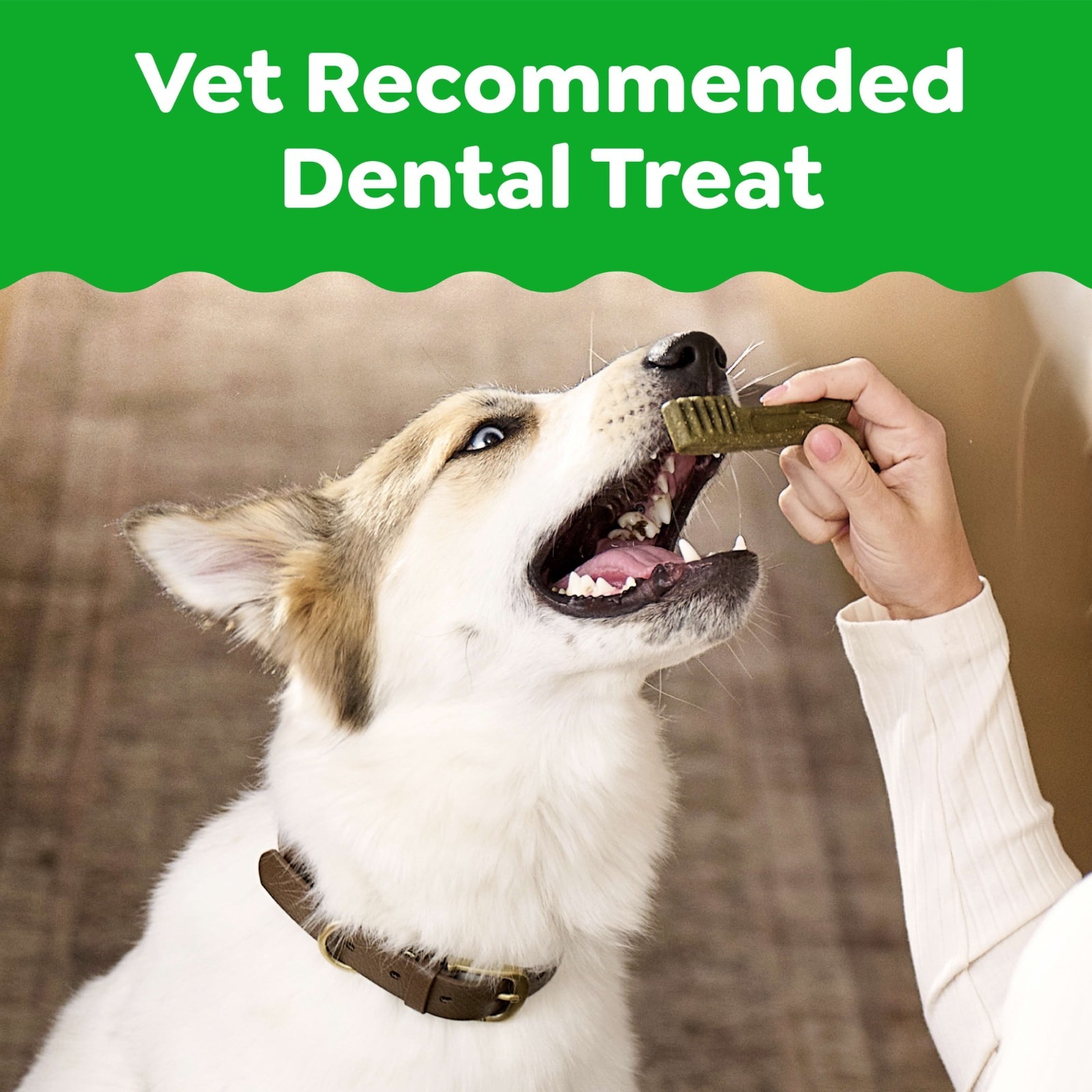 Greenies Original Flavor Adult Natural Dental Dog Treats Teenie Size, 54 oz Pack