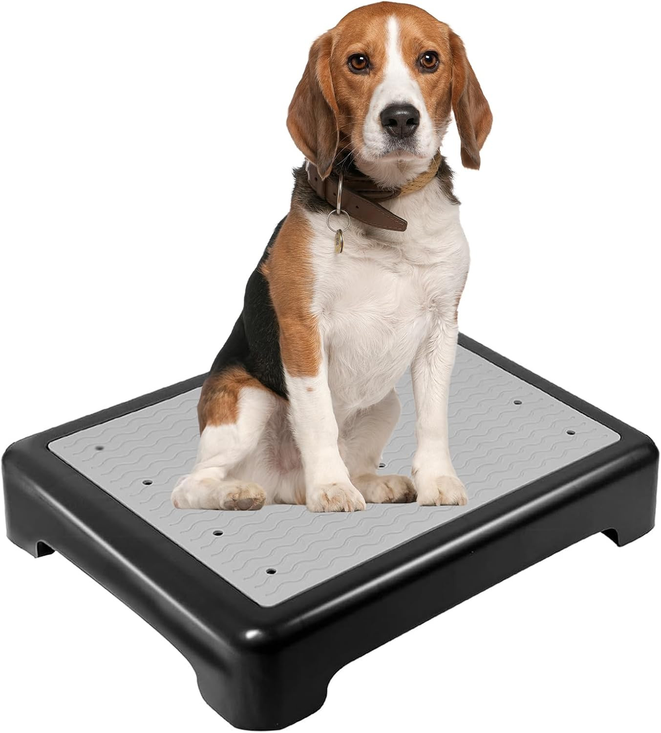 Dog Training Place Board with Non-Skid Surface, Dog Platform for Training, Porta