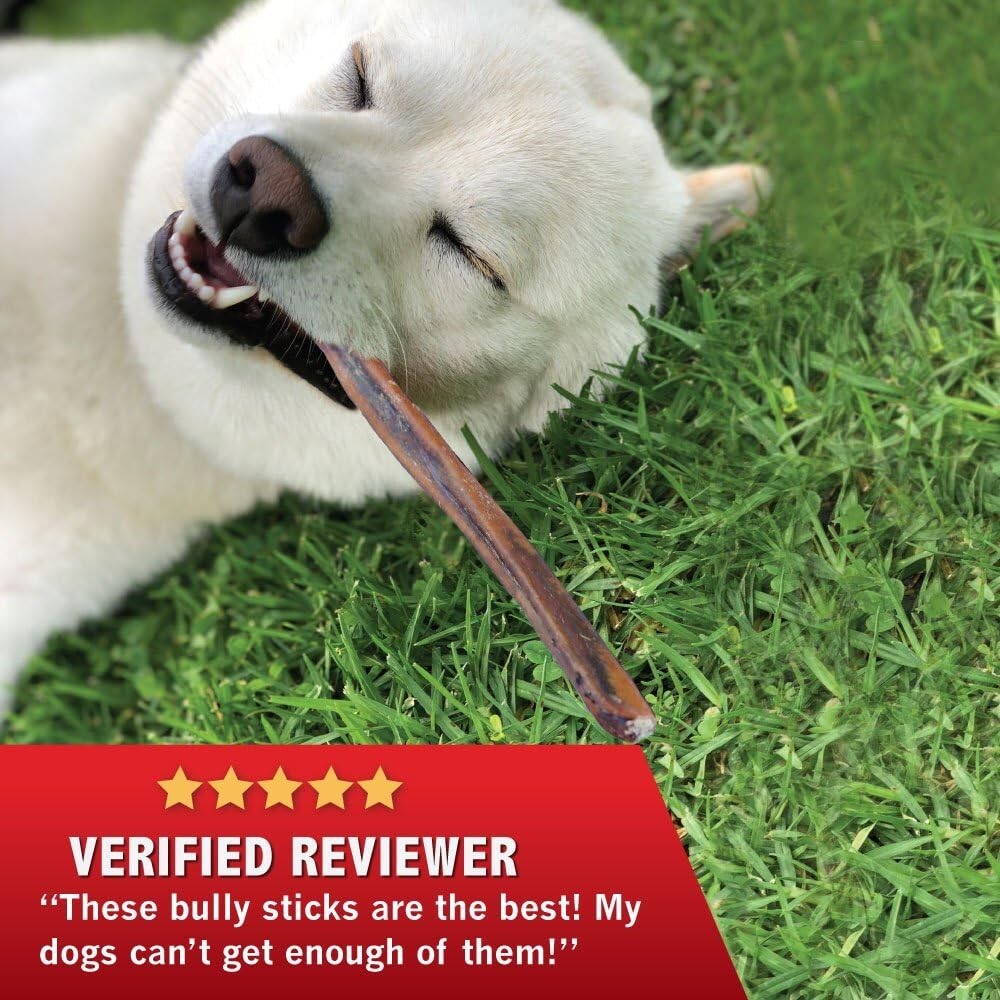 ALL NATURAL Powerpet: Bully Sticks – 12” Standard Bully Sticks- BRC CERTIFIED