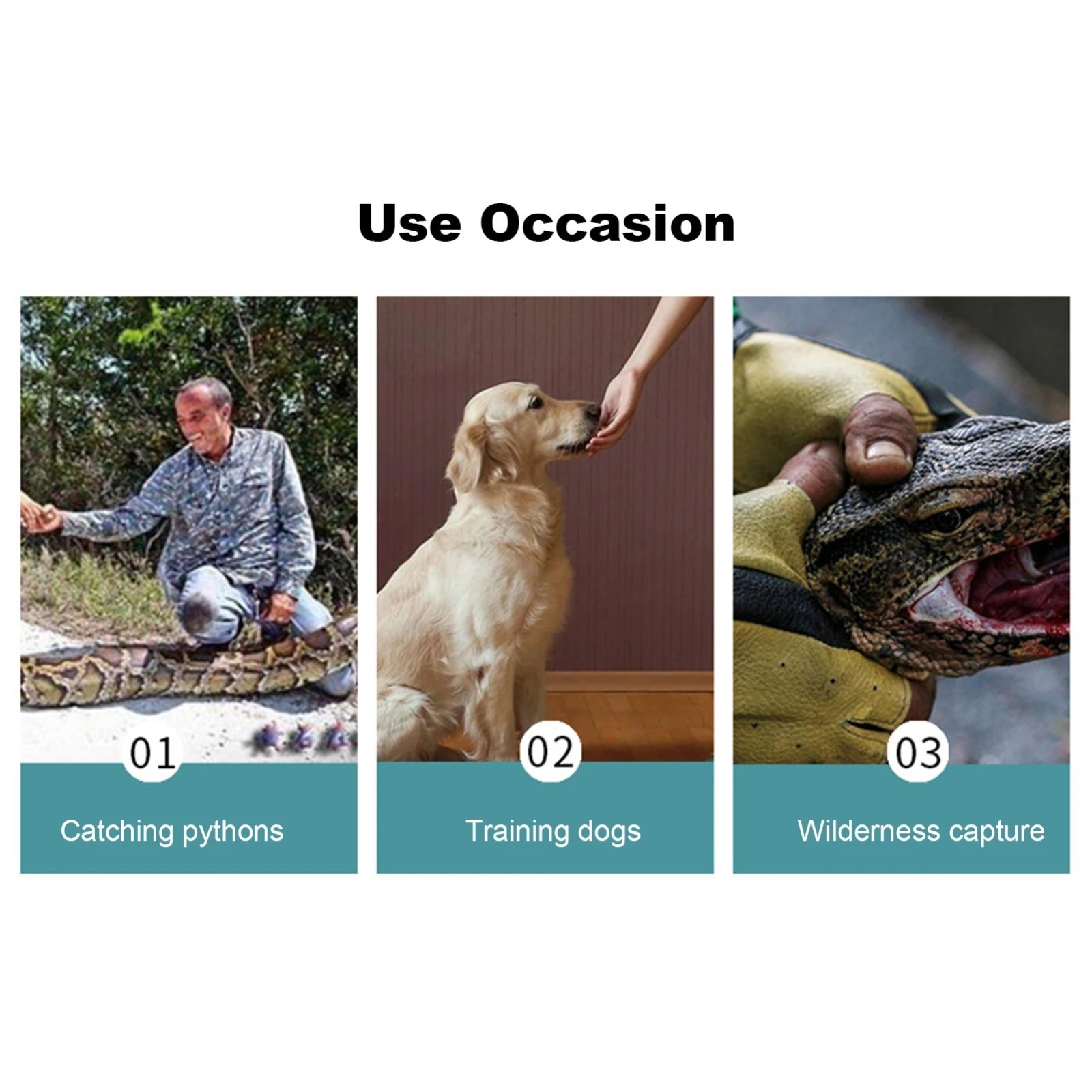 Animal Handling Gloves Leather Sleeve Bite Proof Dog Cat Bird Reptile Protection