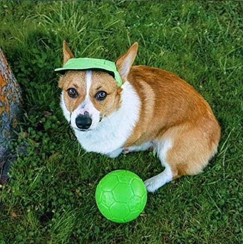 Jolly Pets Medium Soccer Ball Floating-Bouncing Dog Toy, 6 inch Diameter, Apple