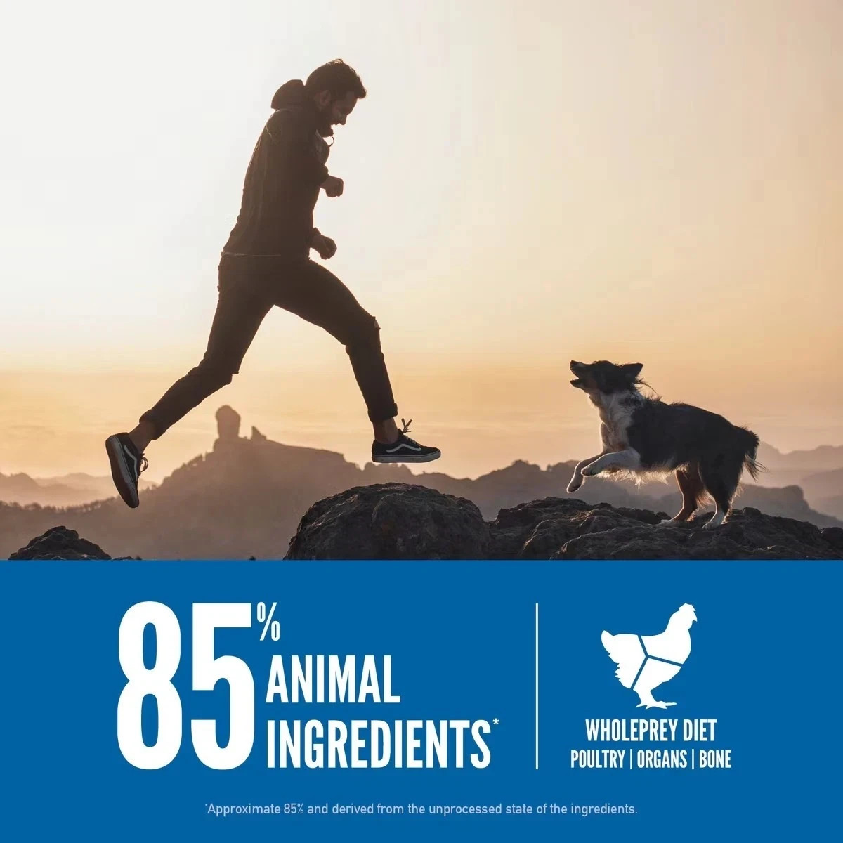 ORIJEN Original Grain-Free High Protein Dry Dog Food Recipe, 23.5 lb Bag