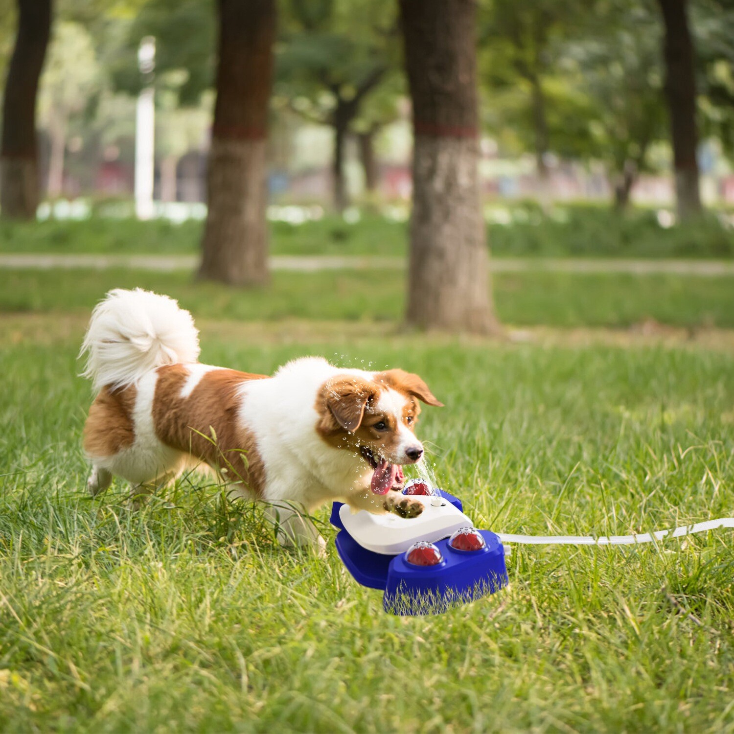 Outdoor Dog Fountain Step On Paw Activated Sprinkler Toy for Fresh Water Drink