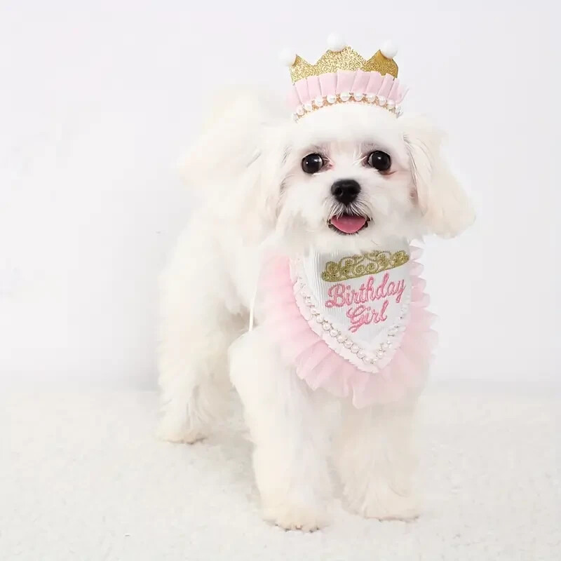 Dog Cat Happy Birthday Girl Bandana & Crown Hat Costume Set SALE HELPS DOGS CATS