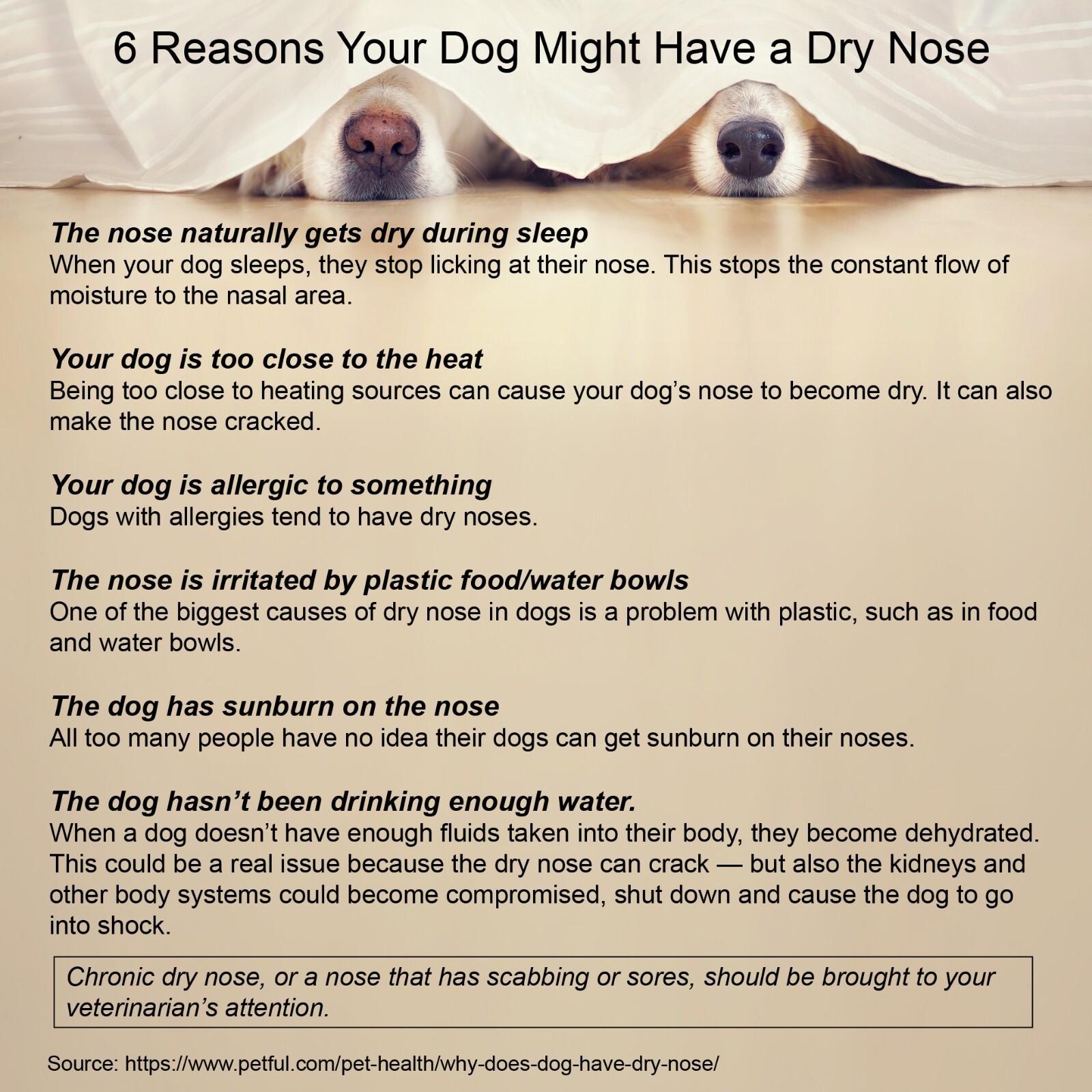 Dog Skin Care, Hot Spots, Itch Relief, Paw Pads, Dry, Cracked Elbows 2 oz