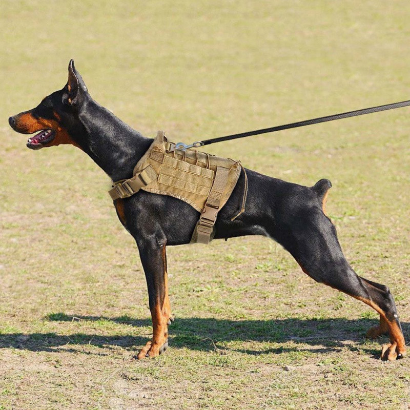 Tactical Dog Vest US Working Dog Military Harness with Handle No-pull Large