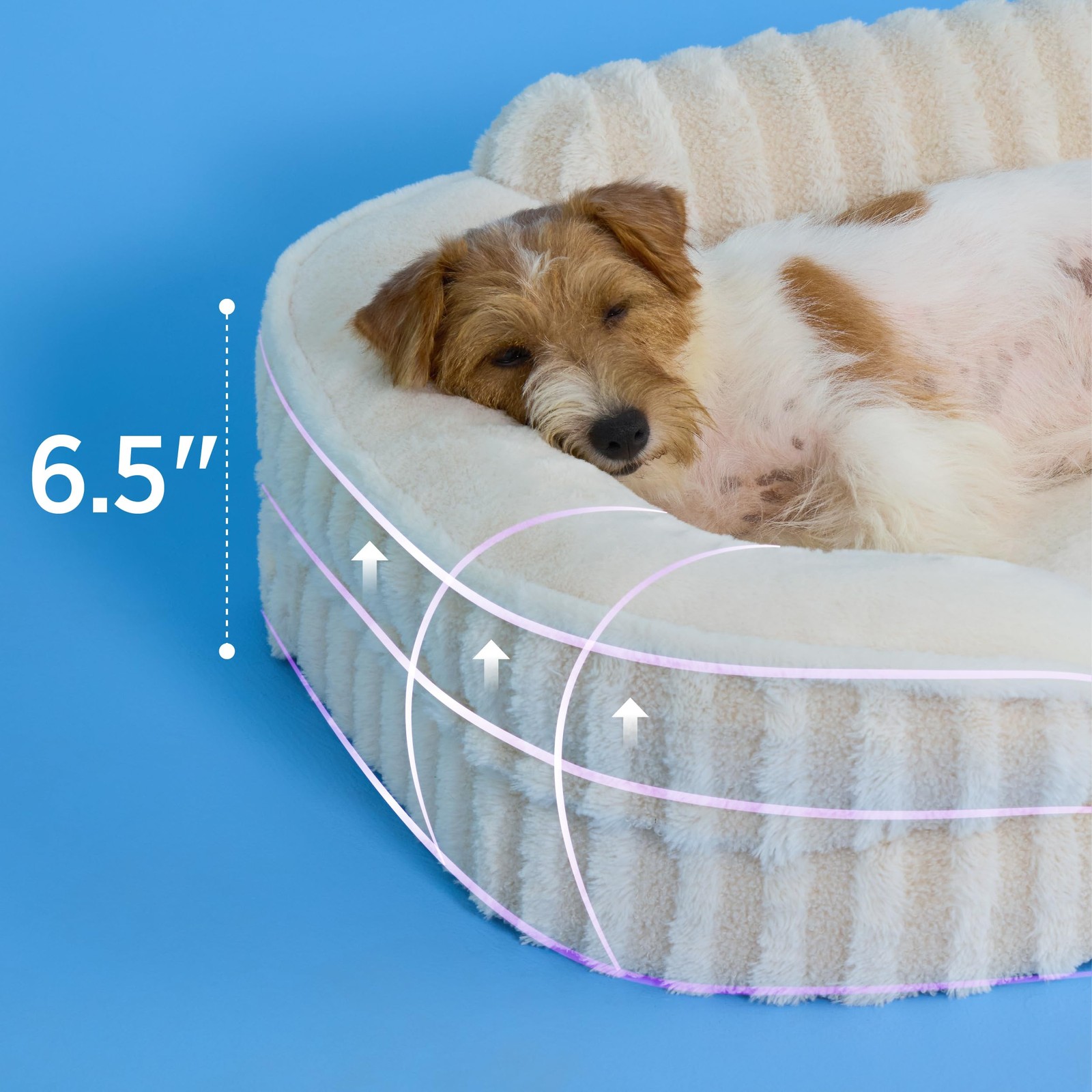 Orthopedic Medium Dog Bed Waterproof Washable Cover NonSlip High Back Beige