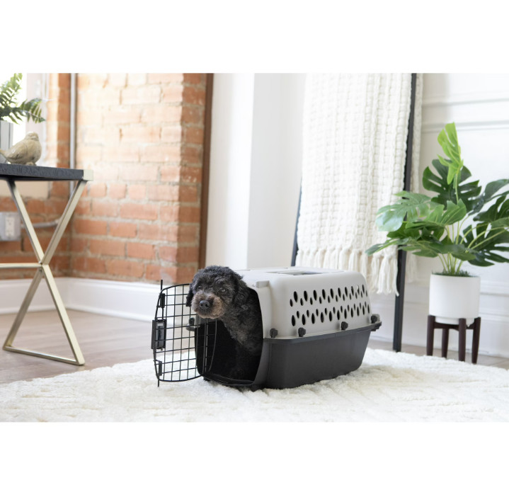 Vibrant Life Pet Portable Kennel for Dogs, Hard-Sided Travel Carrier, Durable, M