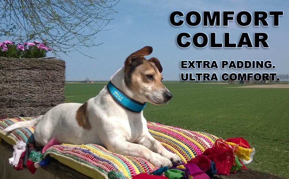 Personalized Nylon Reflective Dog Collar Engraved Custom ID Tag Name/Number