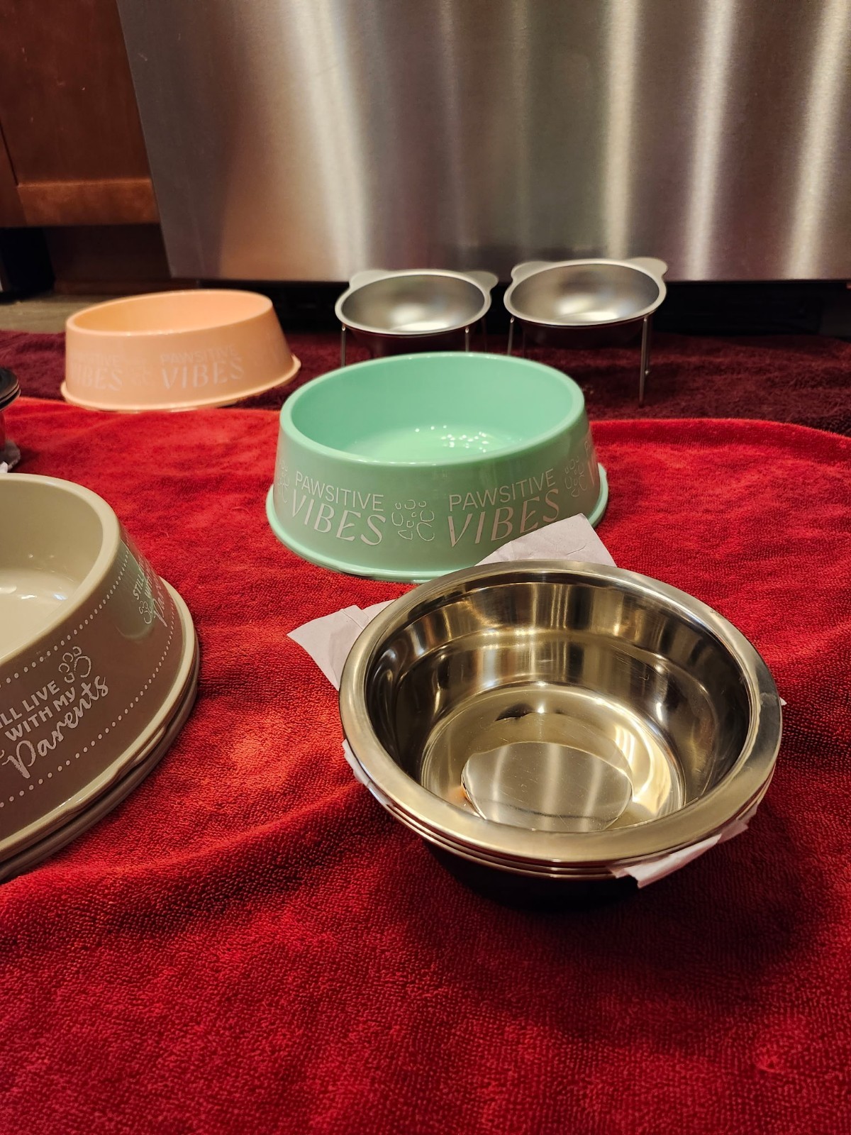 Pet Feeding Bowls. Set of 2. (Large, Small, Plastic or Elevated). FREE SHIPPING!