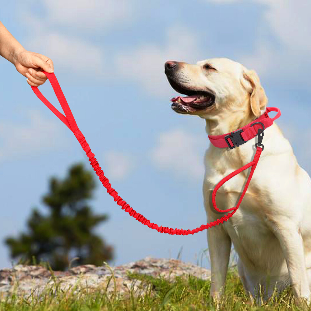 Tactical Dog Collar Military Training With Leash Heavy Duty Metal Buckle M L XL