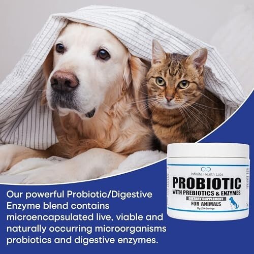 Probiotic, Prebiotic, Digestive Enzyme Powder for Dogs – 200 Servings