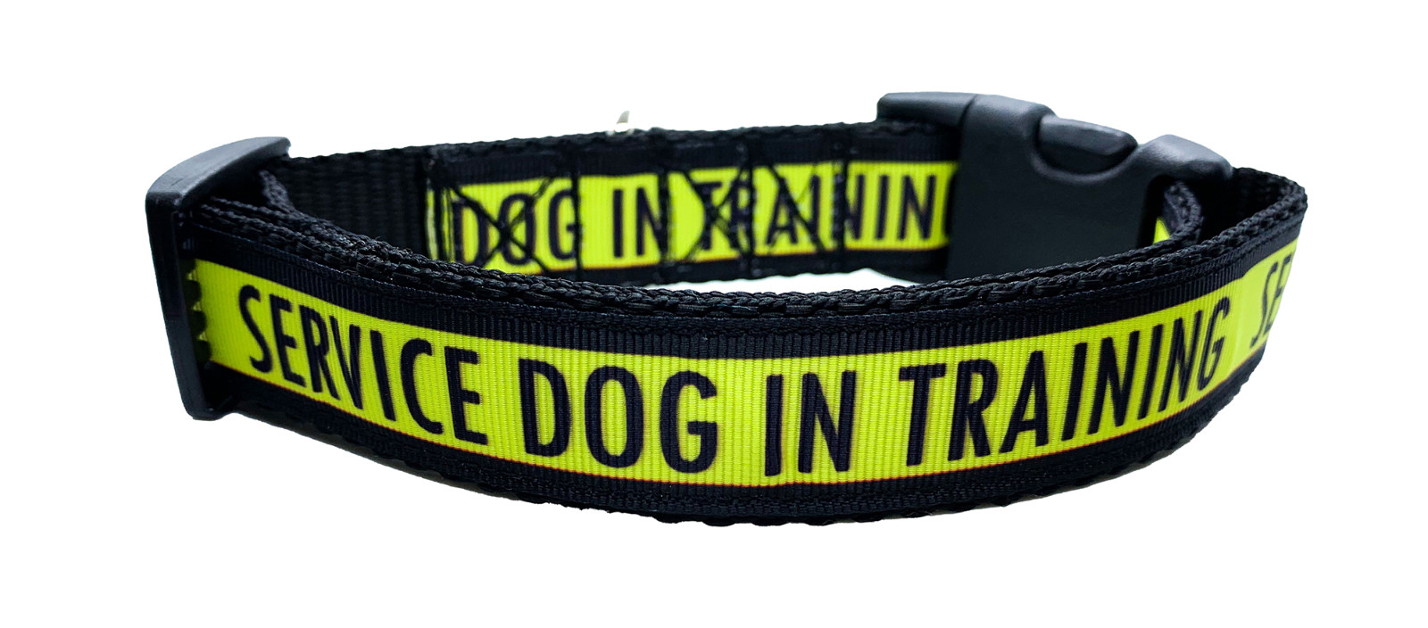 Service Dog in Training Collar 1″ Adjustable Service Dog Gear Dog Collar