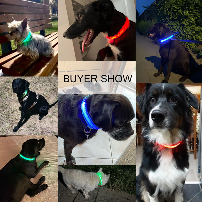 PET LED LIGHT-UP Glow-in-the-dark USB RECHARGEABLE COLLAR Dog Night Safety