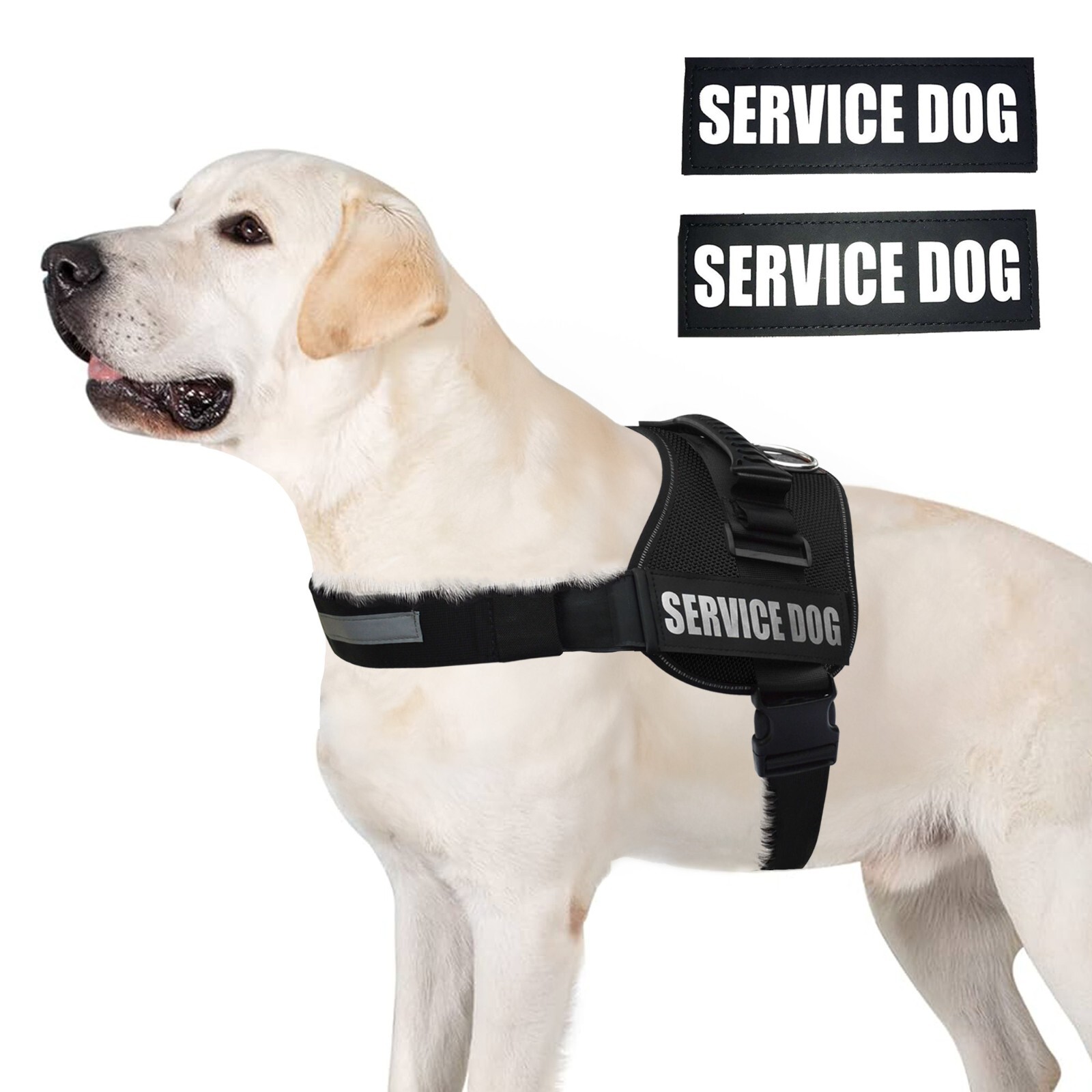 ALBCORP Reflective Service Dog Vest Harness, Woven Nylon with Adjustable Straps