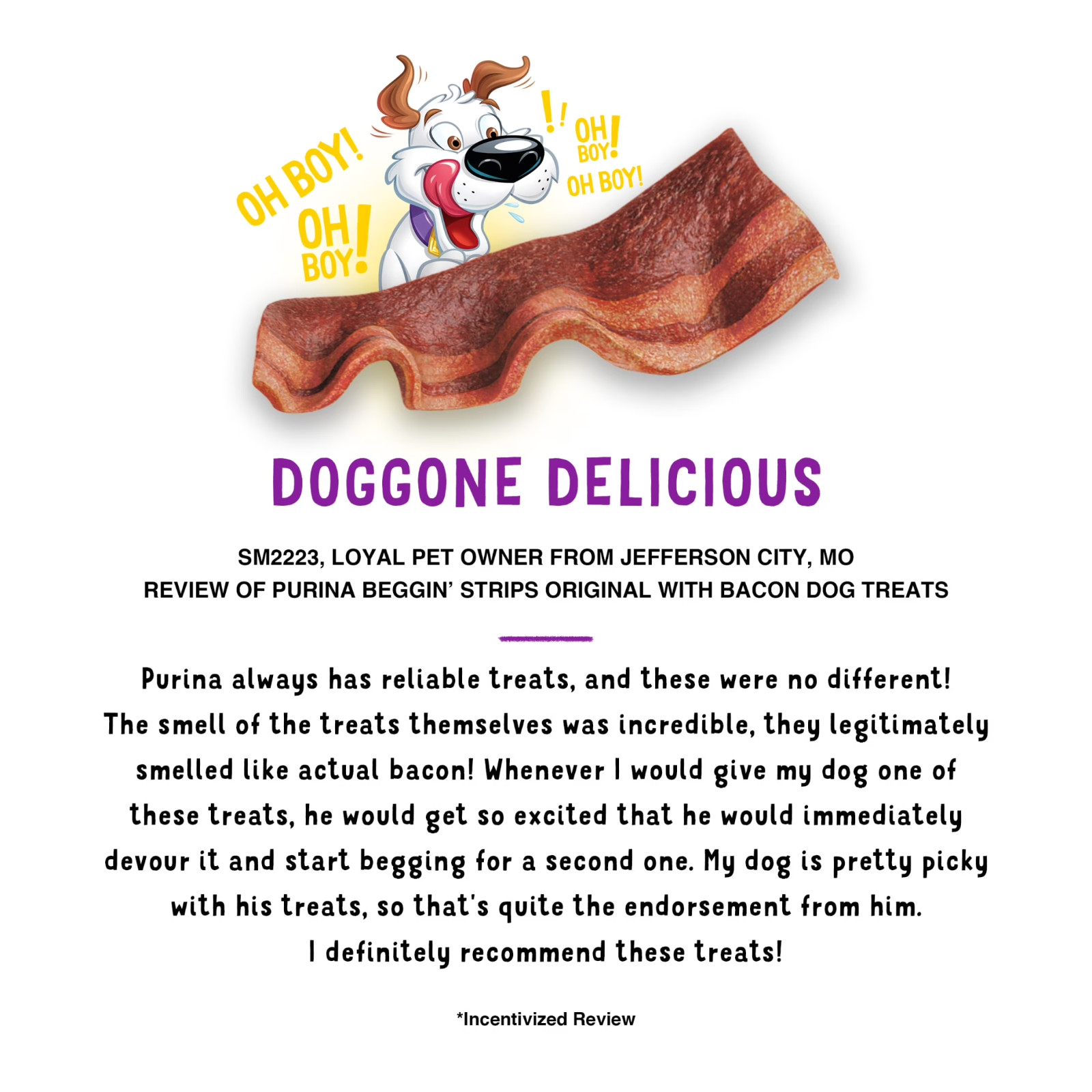 3 PACK – Purina Beggin’ Strips Bacon Flavor Soft Dog Treats Tender Chews, 40 oz