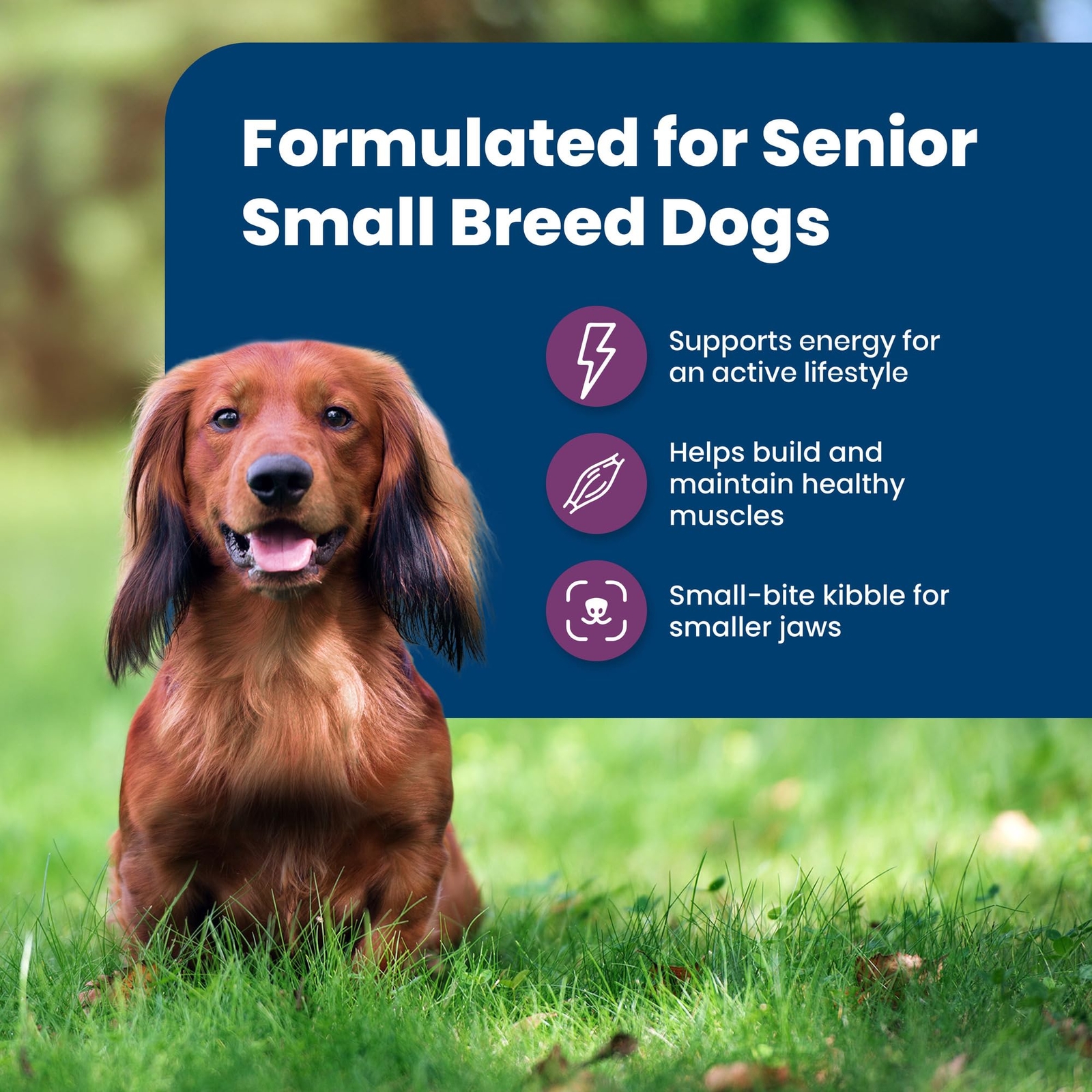Blue Buffalo Life Protection Small Breed Senior Dog Food 5lb Chicken Recipe