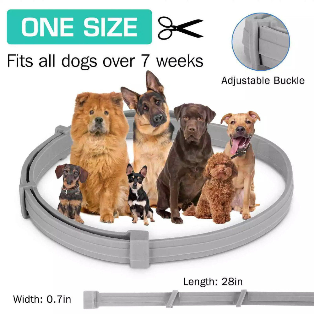 Dog colar Flea and Tick Treatment Waterproof 8 Months Protections