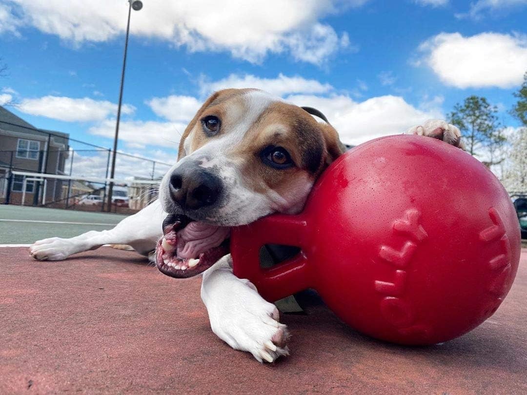 Jolly Pets Tug-N-Toss 8 inch Red Rubber Ball with Handle Chew Toy for Dogs