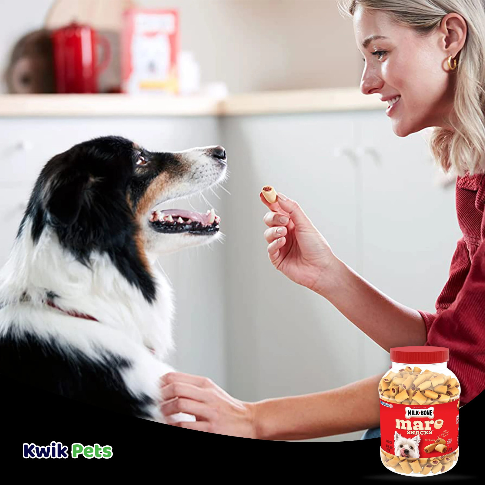 Milk-Bone MaroSnacks Dog Treats With Real Bone Marrow and Calcium 40 OZ