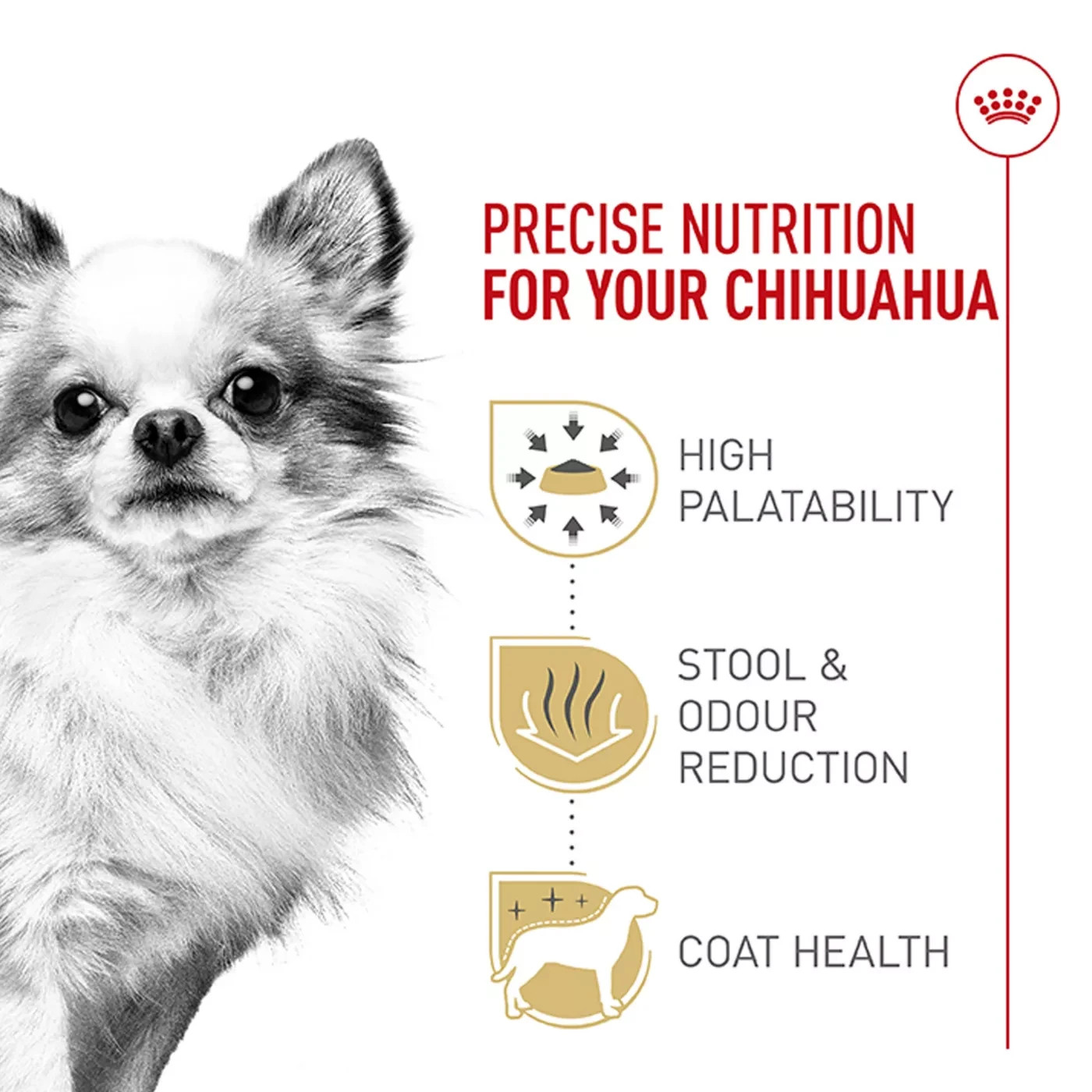 Royal Canin Chihuahua Adult Dry Dog Food Breed Specific Nutrition 2 lb Bag