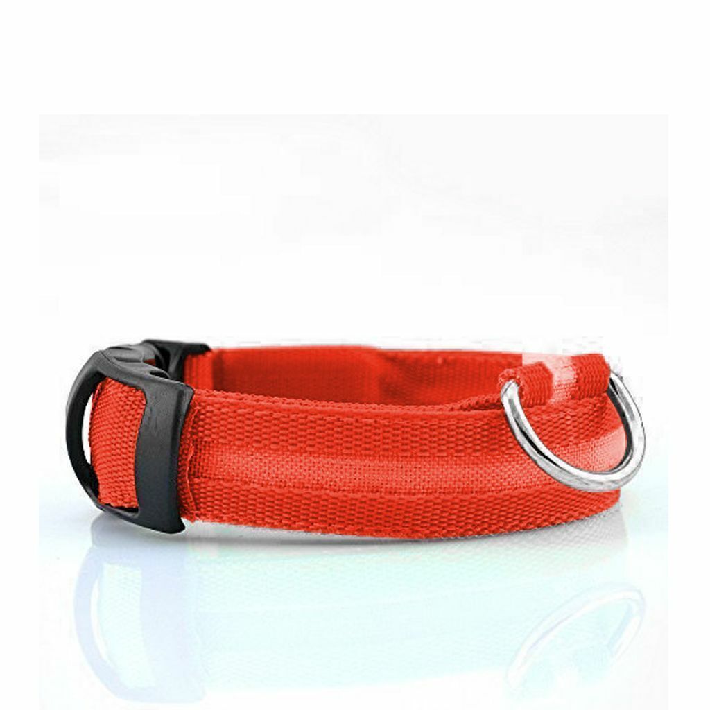 USB RECHARGEABLE LED Dog Pet Light Up Safety Collar Night Glow Adjustable HOT