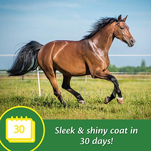 Farnam Super 14 Healthy Skin & Coat Supplement for Horses, Shiny Coat, 2.75 Lb