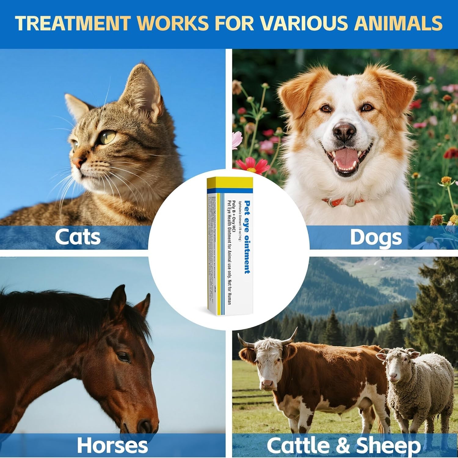 Eye Health Treatment for Dogs & Cats – 1 Tube 0.35 oz – Safe & Effective
