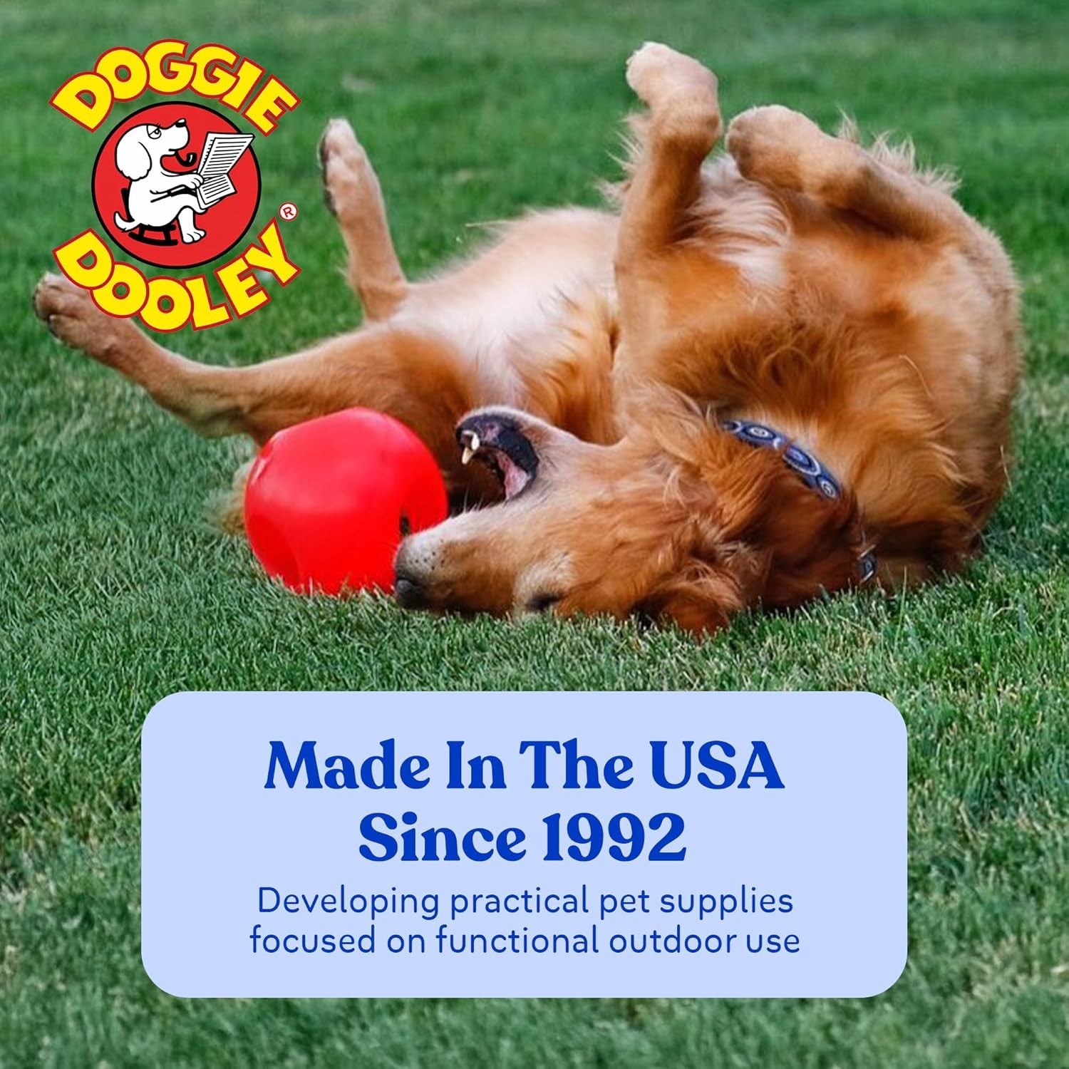 Virtually Indestructible 10″ Dog Ball – For Large Breeds