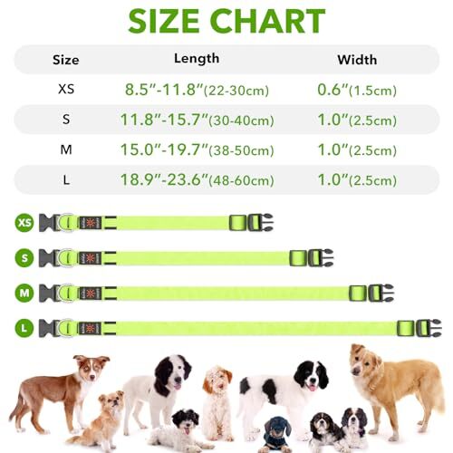 Illumifun LED Dog Collar, USB Rechargeable Light Up Assorted Sizes , Colors