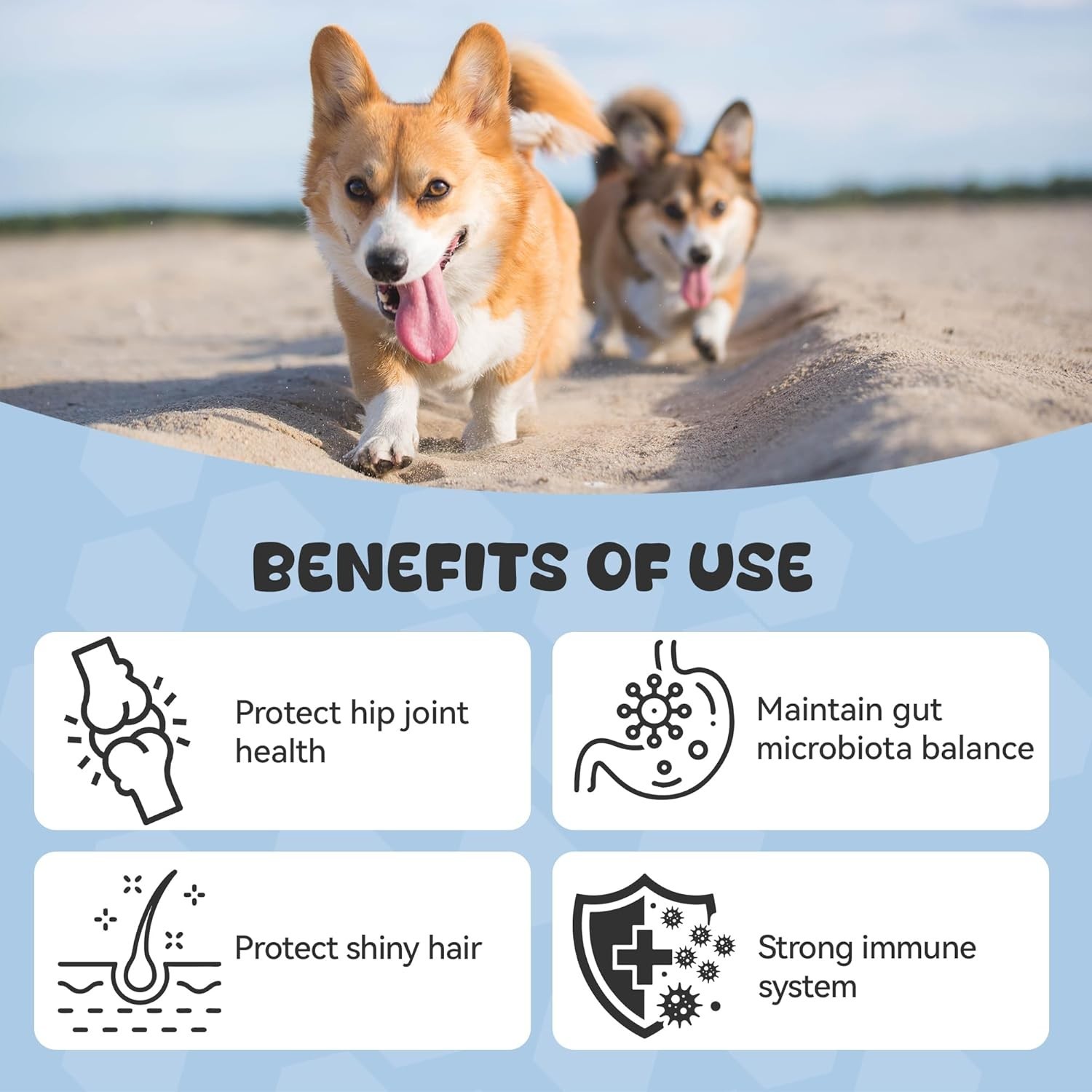 25-in-1 Dog Multivitamin Supplement, Rich in Various Vitamins,…