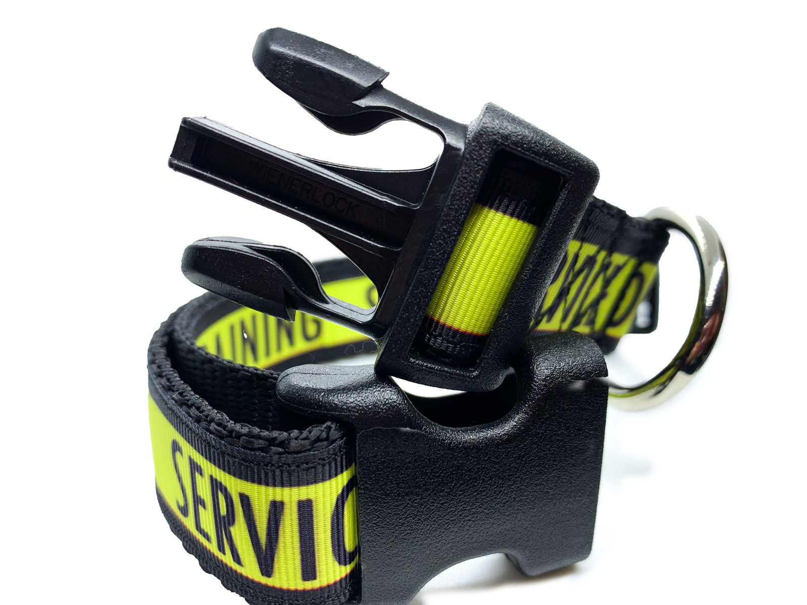 Service Dog in Training Collar 1″ Adjustable Service Dog Gear Dog Collar