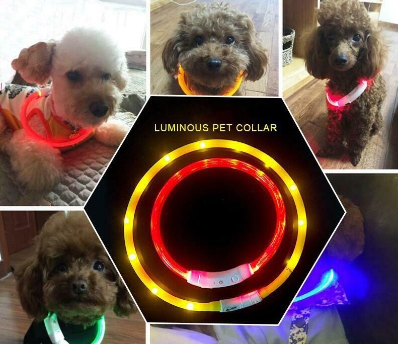 SOFT SILICONE LED FLASH dot LIGHT-UP glow el USB rechargeable Pet Dog Cat COLLAR