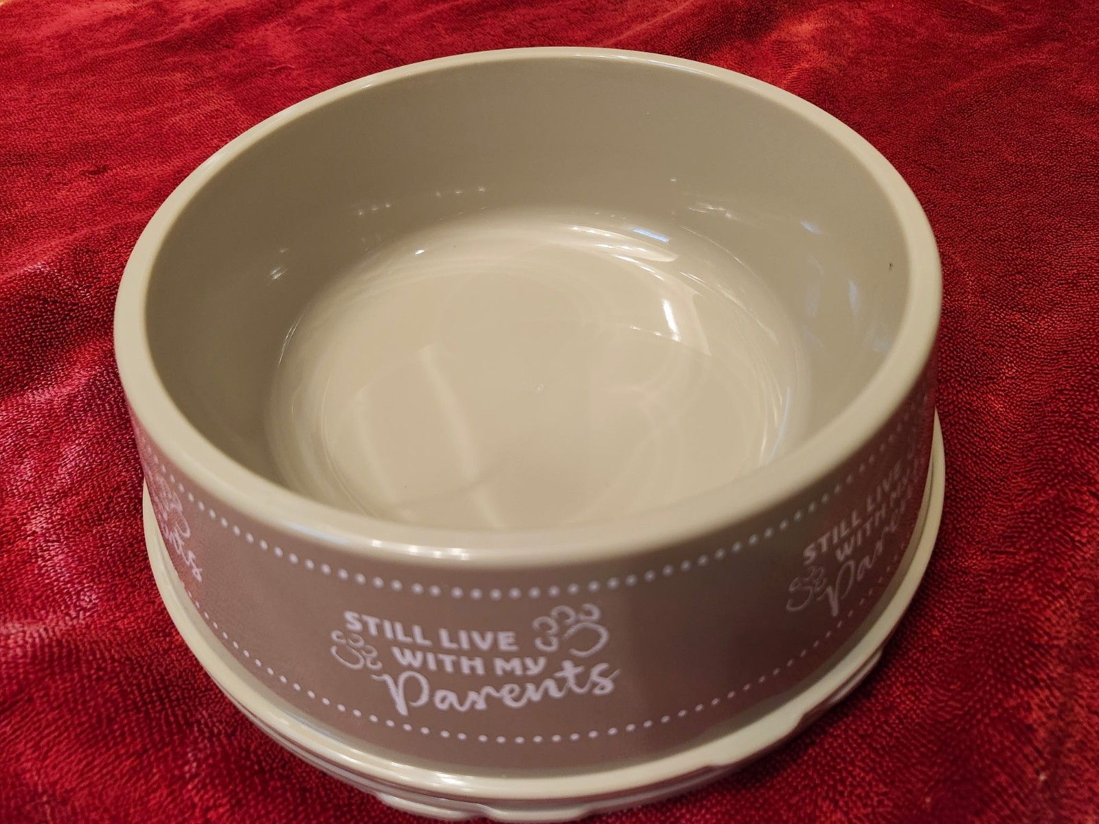 Pet Feeding Bowls. Set of 2. (Large, Small, Plastic or Elevated). FREE SHIPPING!