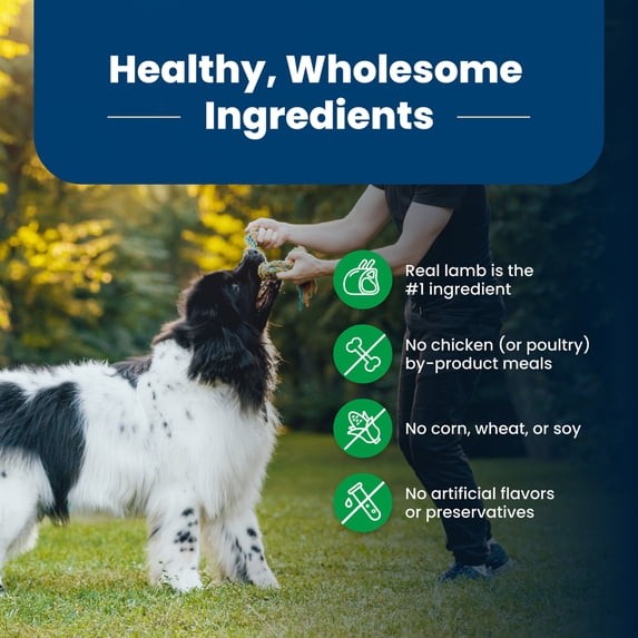 Blue Buffalo Life Protection Formula Lamb and Brown Rice Dry Dog Food 30 lb