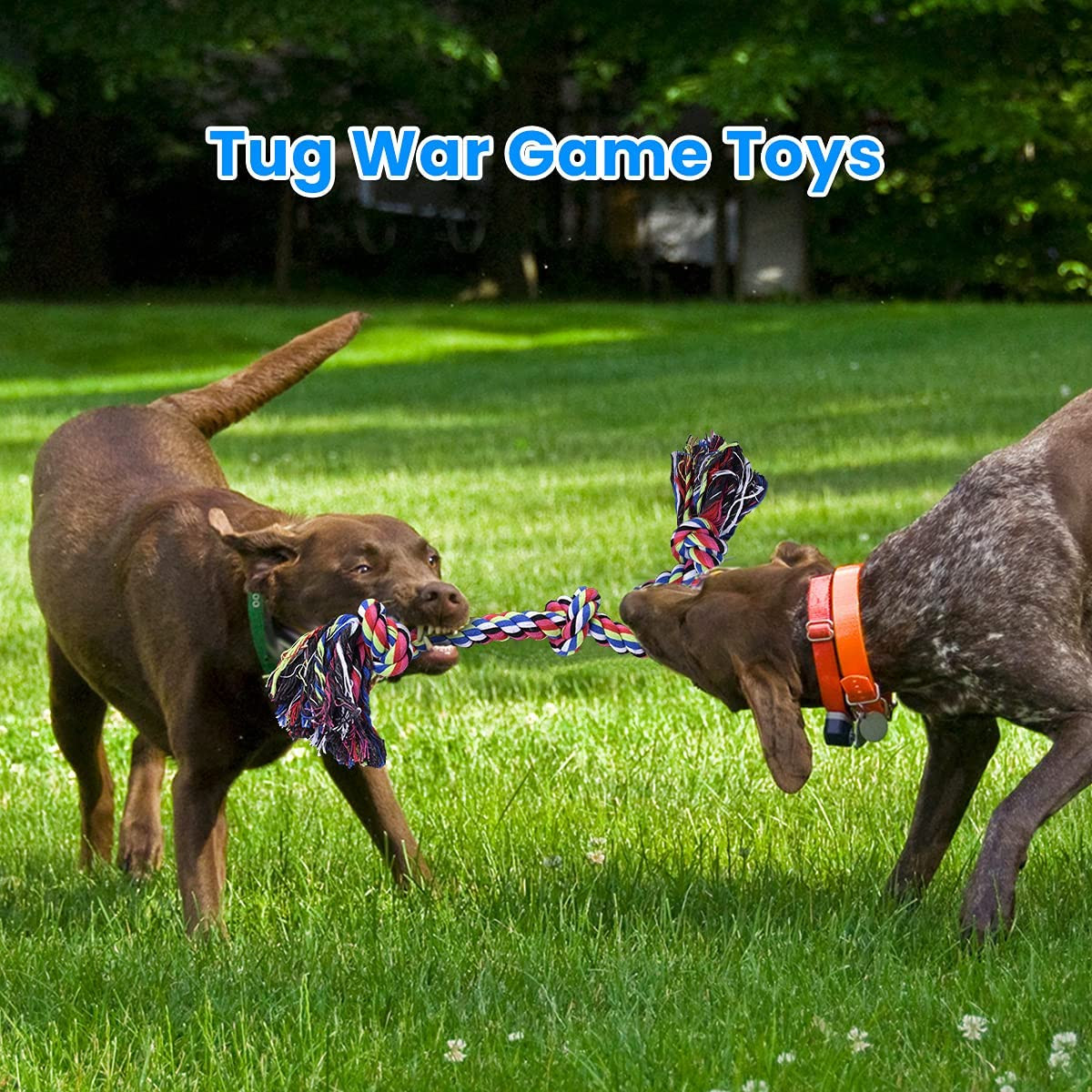 Heavy Duty Dog Rope Toy Large Aggressive Chewers Indestructible Tug 2 Pcs