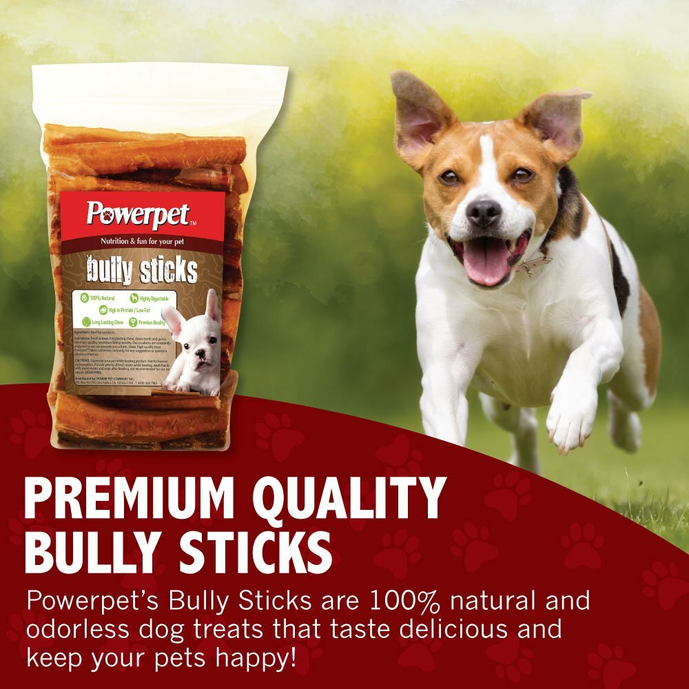 All Natural 4″ Bully Jumbo Thick Sticks FDA & USDA APPROVED