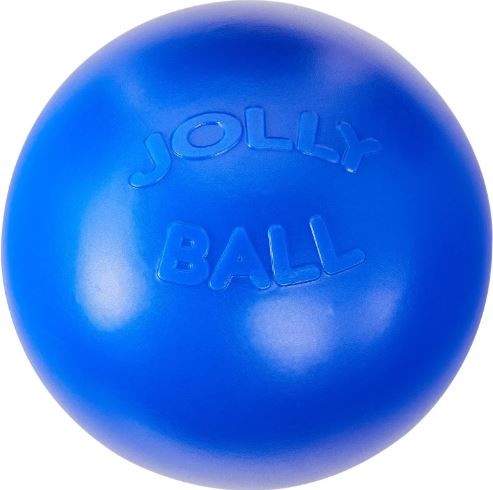 Jolly Pets Push-N-Play Ball Blue 10 inch Interactive Hard Plastic Toy for Dogs