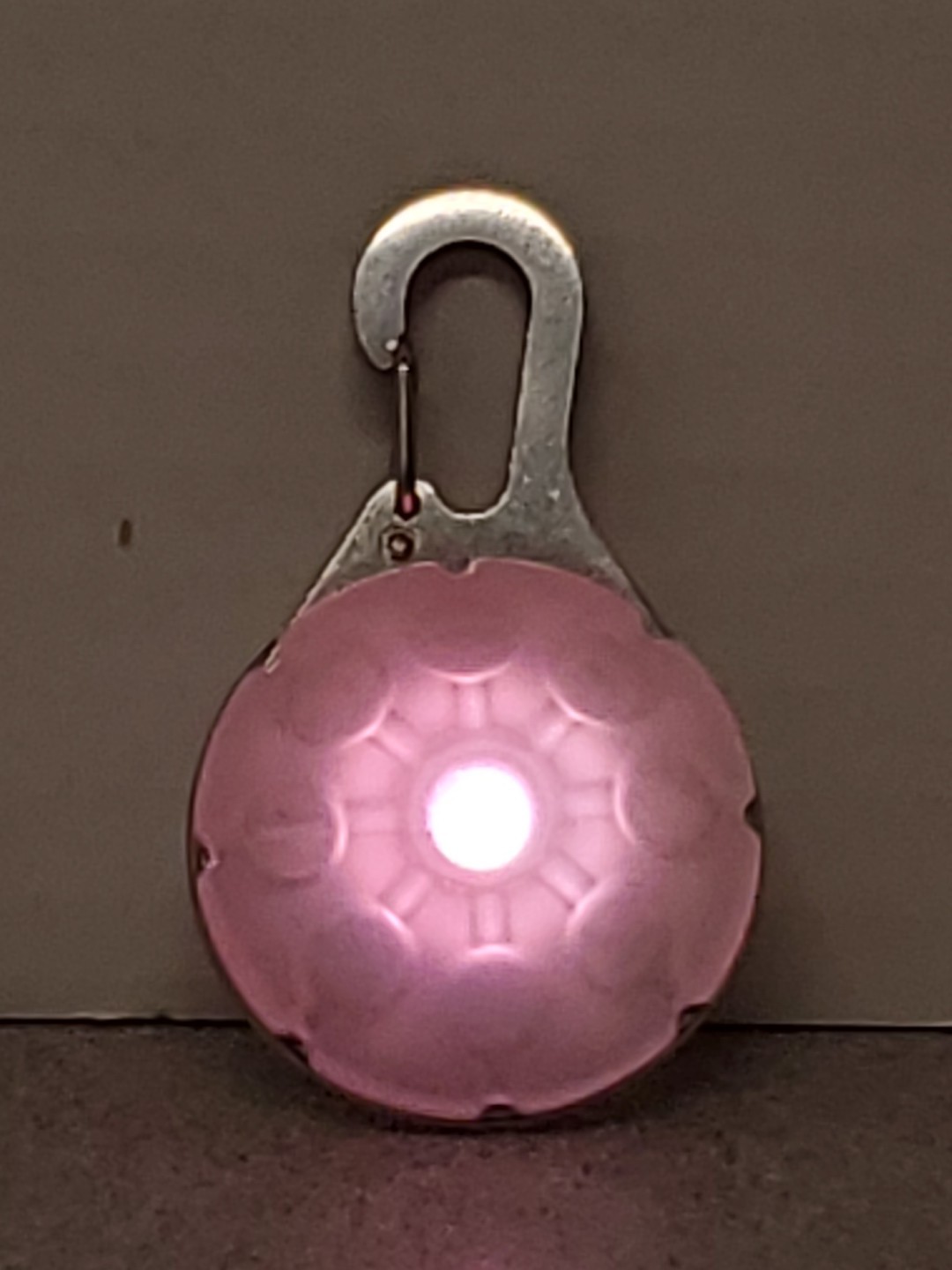 LED Dog Collar Light Clip On for Pet Safety